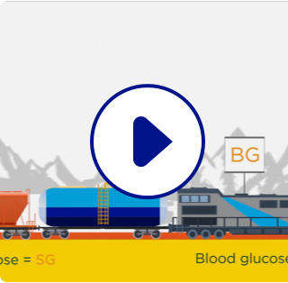 Watch the Difference Between Interstitial Glucose and Blood Glucose Video on YouTube (opens in a new window)