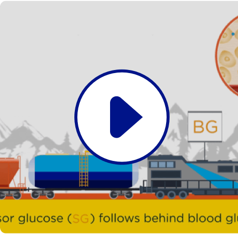Regarder la vidéo sur la différence entre le glucose interstitiel et le glucose sanguin sur YouTube (s’ouvre dans une nouvelle fenêtre)